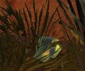 Thumbnail for version as of 02:46, 1 May 2016