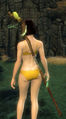 Thumbnail for version as of 13:05, 11 February 2014