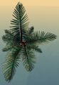 Thumbnail for version as of 20:50, 6 January 2026