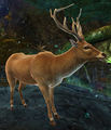 Thumbnail for version as of 22:44, 3 February 2014