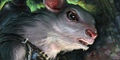 Thumbnail for version as of 15:33, 2 May 2014