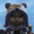 Thumbnail for version as of 05:19, 15 February 2016