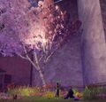 Thumbnail for version as of 22:38, 8 March 2022