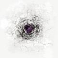 Thumbnail for version as of 10:57, 14 October 2022