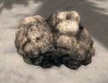 Thumbnail for version as of 03:22, 30 August 2021