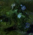 Thumbnail for version as of 15:44, 15 May 2013