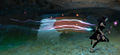 Thumbnail for version as of 11:54, 26 February 2016
