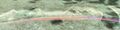Thumbnail for version as of 08:38, 20 August 2021