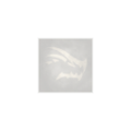 Thumbnail for version as of 01:10, 30 May 2026