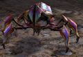 Thumbnail for version as of 18:12, 14 August 2017