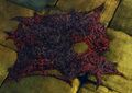 Thumbnail for version as of 02:14, 10 November 2023