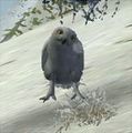 Thumbnail for version as of 17:53, 7 August 2012
