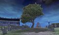 Thumbnail for version as of 08:31, 31 January 2013