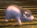 Thumbnail for version as of 04:25, 18 September 2014