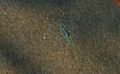 Thumbnail for version as of 03:06, 26 November 2015