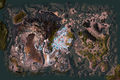 Thumbnail for version as of 16:13, 31 January 2013