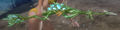 Thumbnail for version as of 12:01, 12 September 2014