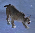 Thumbnail for version as of 20:06, 22 September 2012