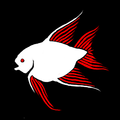 Thumbnail for version as of 19:46, 22 August 2012