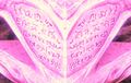 Thumbnail for version as of 15:35, 29 January 2017