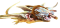 Thumbnail for version as of 11:25, 2 August 2017