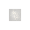 Thumbnail for version as of 01:10, 30 May 2026