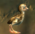Thumbnail for version as of 17:17, 14 May 2013