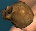 Thumbnail for version as of 05:23, 13 March 2021