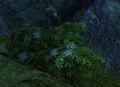 Thumbnail for version as of 15:48, 15 May 2013