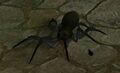 Thumbnail for version as of 13:16, 18 November 2013