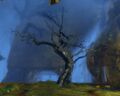 Thumbnail for version as of 11:02, 23 May 2019
