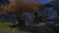 Thumbnail for version as of 18:06, 20 March 2015