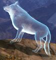 Thumbnail for version as of 07:32, 1 March 2017
