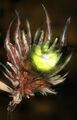 Thumbnail for version as of 17:34, 25 August 2025