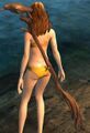Thumbnail for version as of 19:31, 30 May 2016