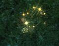 Thumbnail for version as of 08:23, 3 December 2016