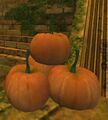 Thumbnail for version as of 23:27, 28 October 2015