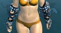 Thumbnail for version as of 19:56, 14 June 2017