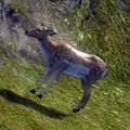 Thumbnail for version as of 18:13, 31 August 2012