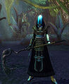 Thumbnail for version as of 17:35, 14 November 2010