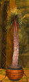 Thumbnail for version as of 07:02, 3 December 2016
