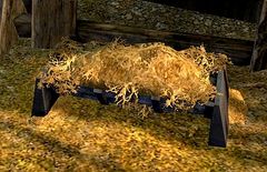 Cow Feed Pile.jpg