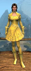 Appearance on light armor.
