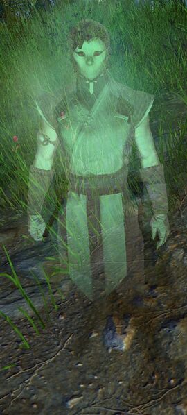 File:Purist Assassin Spirit (male).jpg