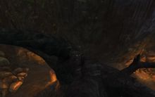 Skyscale Scales 15.jpg