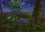 Starlit Tourist 8 location.jpg