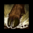 Trample.png