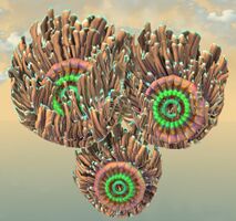 Underwater Anemone top.jpg