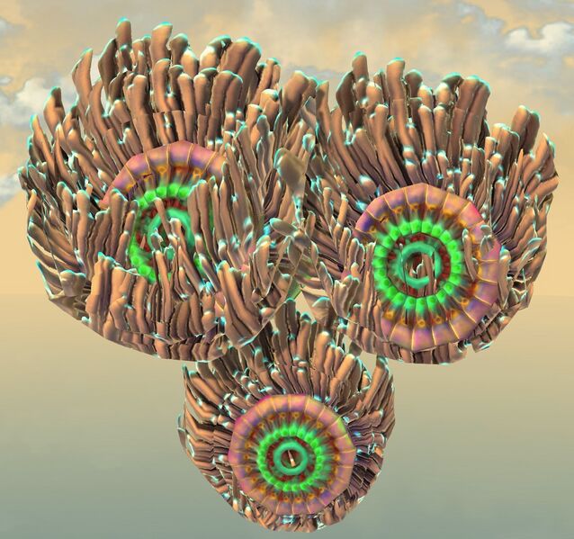 File:Underwater Anemone top.jpg