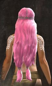 Unique norn female hair back 14.jpg